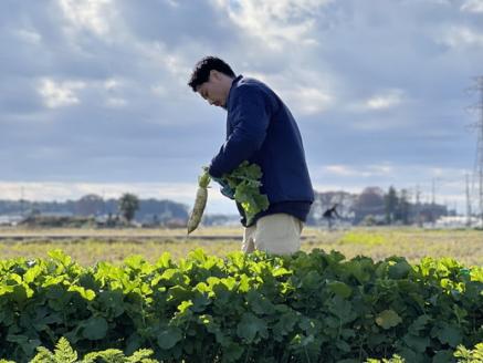 UTSUNOMIYA BASEの畑産野菜ボックス 5kg