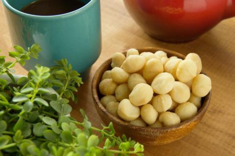 4種の素焼きミックスナッツ 素焼き チャック付き 健康 美容 直火焙煎 煎りたて うさぎや くるみ アーモンド マカデミアナッツ カシューナッツ