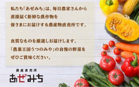 農産直売所あぜみち 新鮮野菜 詰め合わせ【 野菜 セット 旬の野菜 国産 栃木県 宇都宮市 】※配送不可地域：離島