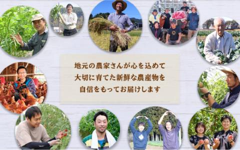 【3ヶ月定期便】米・卵・新鮮野菜バラエティセット ※着日指定不可