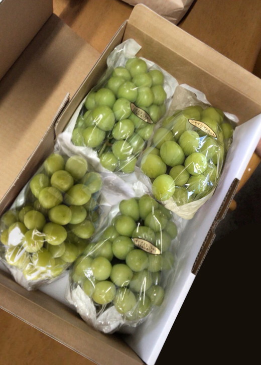 【先行予約】数量限定　シャインマスカット 約2kg｜ フルーツ ぶどう ブドウ 葡萄 果物 旬 大粒 高級 種なし ※北海道・沖縄・九州・離島への配送不可 ※2024年9月中旬～10月上旬頃に順次発送予定
