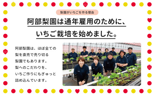 阿部梨園の完熟とちあいか（ふぞろい） ※離島への配送不可 ※2025年12月上旬～2026年5月中旬頃に順次発送予定