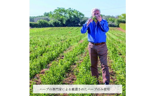 オーガニックハーブティー350mlミント×24本