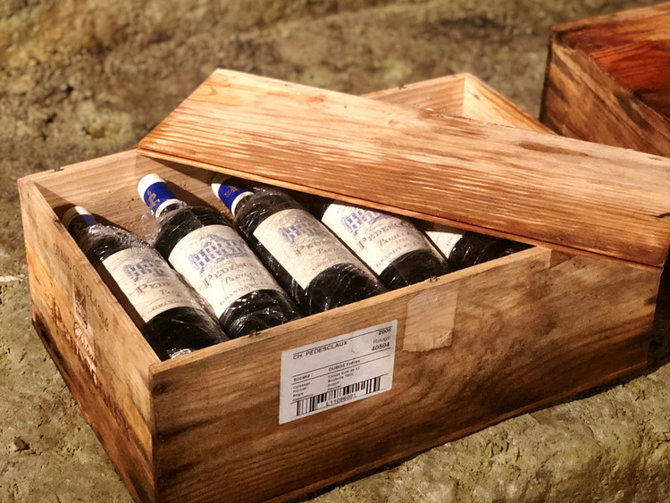 ～限定特別公開！ 宇都宮の魅力体験～ ふるさと納税返礼品特別ペアツアー 2025年2月16日（日）催行