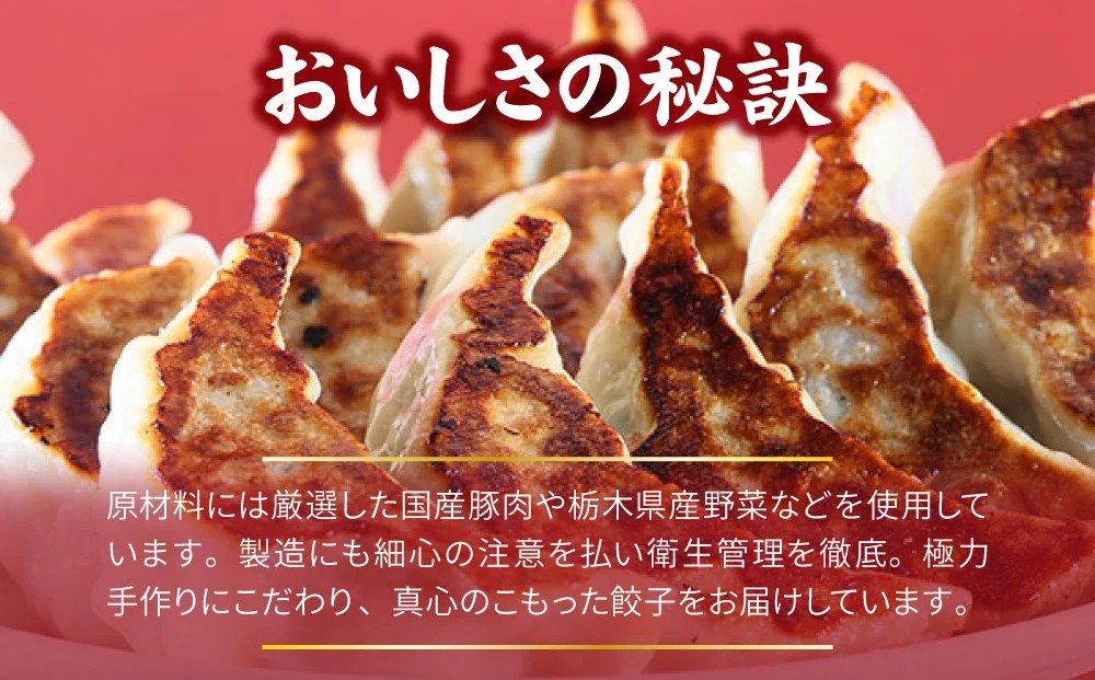 テレビで紹介！餃子専門店 宇都宮 悟空 特製肉餃子120個入 | 餃子 冷凍 ぎょうざ ギョーザ 大容量 肉たっぷり 肉多め 大きい 人気 名物 行列 国産野菜 国産豚肉 ジューシー スタミナ パリパリ もちもち グルメ おかず おつまみ 栃木県 宇都宮市 簡単 小分け 冷凍食品 ※離島への配送不可