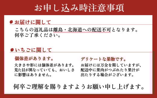 【先行予約】スカイベリー 2箱 1.16kg（1箱(2パック入)×2）ギフト 贈答 いちご 大粒 | ギフト 贈答 栃木県 宇都宮市 果物 フルーツ 苺 イチゴ 人気　※2026年1月上旬～3月上旬頃に順次発送予定　※北海道・沖縄・離島への配送不可