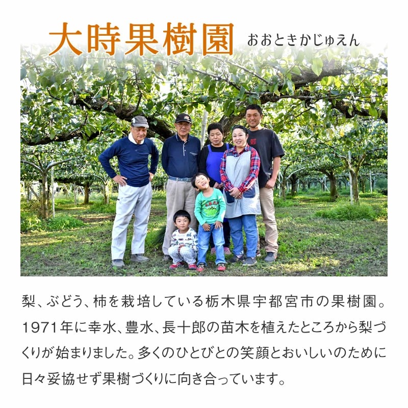 シャインマスカット 約1.2kg　※2025年9月中旬頃より順次発送予定