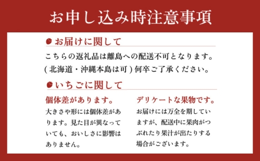 【先行予約】とちおとめ320g×2パック 3Lサイズ いちご 苺 イチゴ フルーツ 果物 国産 平積み ※離島への配送不可 ※2026年1月中旬～4月中旬頃に順次発送予定