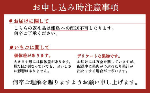 朝摘み とちあいか 4パックセット ※離島への配送不可 ※2026年1月～3月頃に順次発送予定