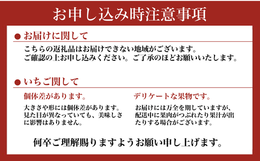 高級いちご 完熟スカイベリー2パック 600g ｜ 栃木 スカイベリー 甘い 糖度 旬 新鮮 フルーツ 果物 アレンジ スイーツ 贈答用 ※2025年12月下旬～2026年3月下旬頃に順次発送予定 ※沖縄・離島への配送不可
