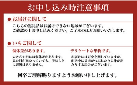 いちご食べ比べセット スカイベリー300g&とちあいか300g ｜ いちご 栃木 スカイベリー 甘い 糖度 旬 新鮮 フルーツ 果物 アレンジ スイーツ いちごジャム フルーツサンド ※2025年12月下旬～2026年3月下旬頃に順次発送予定 ※北海道・沖縄・離島への配送不可