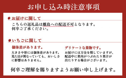 厳選いちご“スカイベリー” | いちご 栃木 スカイベリー 甘い 糖度 旬 新鮮 フルーツ 果物 アレンジ スイーツ いちごジャム フルーツサンド　※離島への配送不可　※2024年12月下旬頃～2025年5月上旬頃に順次発送予定