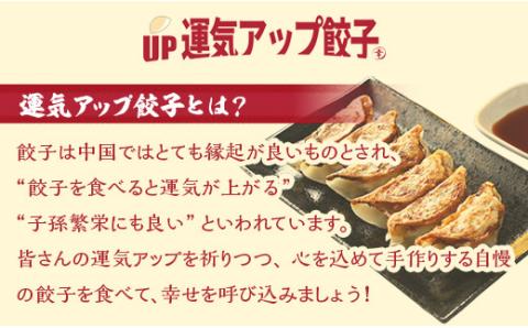 宇都宮餃子 運気アップ餃子  2種類味比べ(合計36個)【餃子 ぎょうざ ギョウザ 食べ比べセット 冷凍餃子 冷凍食品 惣菜 栃木県 宇都宮市 】※配送不可地域：離島