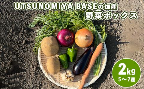 UTSUNOMIYA BASEの畑産野菜ボックス 2kg
