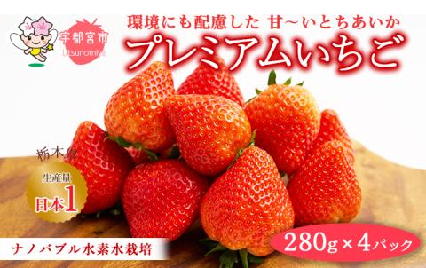 ナノバブル水素水栽培 - 高設ベンチのプレミアムいちご とちあいか 4パックセット ※2024年1月～4月頃に順次発送予定 ※北海道・沖縄・離島への配送不可 ※着日指定不可