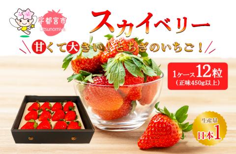 厳選いちご“スカイベリー” | いちご 栃木 スカイベリー 甘い 糖度 旬 新鮮 フルーツ 果物 アレンジ スイーツ いちごジャム フルーツサンド　※離島への配送不可　※2024年12月下旬頃～2025年5月上旬頃に順次発送予定