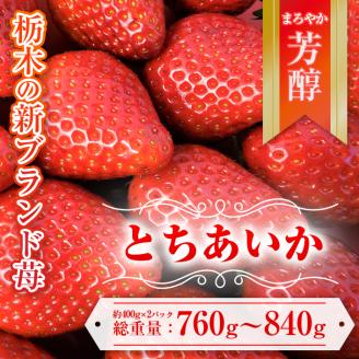 【先行予約】とちあいか 約380g～420g×2パック【ふるさと納税】＼選べる内容量／【先行予約】とちあいか 約380g～420g×2パック | いちご イチゴ 苺 栃木 とちあいか 新種 甘い 糖度 ハート型 フルーツ 果物 スイーツ いちごジャム ギフト 産地直送 ※離島への配送不可 ※2026年1月中旬～3月下旬頃に順次発送予定