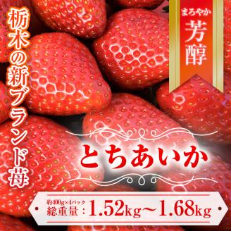 【先行予約】とちあいか 約380g～420g×4パック | いちご イチゴ 苺 栃木 とちあいか 新種 甘い 糖度 ハート型 フルーツ 果物 スイーツ いちごジャム ギフト 産地直送 ※離島への配送不可 ※2026年1月中旬～3月下旬頃に順次発送予定