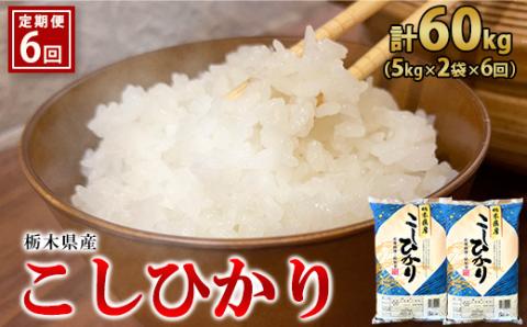 【6ヶ月定期便】【令和5年産】栃木県産こしひかり（精米・5kg×2袋） ※着日指定不可 ※離島への配送不可