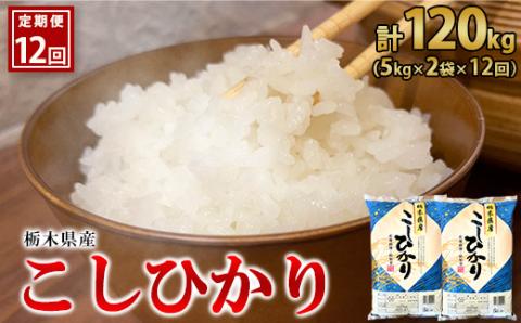 【12ヶ月定期便】【令和5年産】栃木県産こしひかり（精米・5kg×2袋） ※着日指定不可 ※離島への配送不可