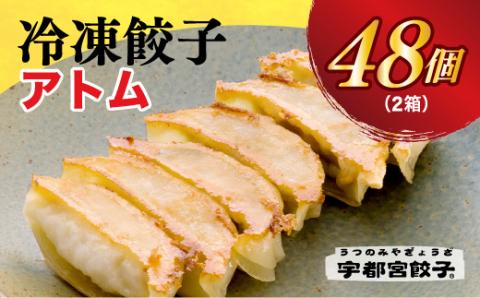 【アトム】　餃子24個入り×2箱【配送不可地域：離島】