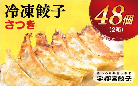 【さつき】　餃子24個入り×2箱【配送不可地域：離島】