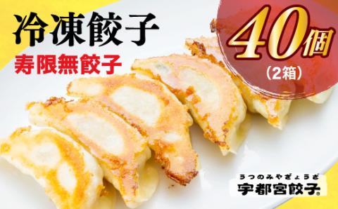 宇都宮餃子 寿限無 餃子20個入り×2箱 ※離島への配送不可