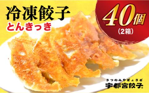 【とんきっき】　餃子20個入り×2箱【配送不可地域：離島】