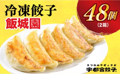 【飯城園】　餃子24個入り×2箱