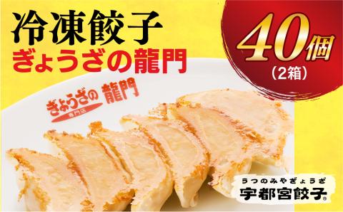 【龍門】　餃子20個入り×2箱