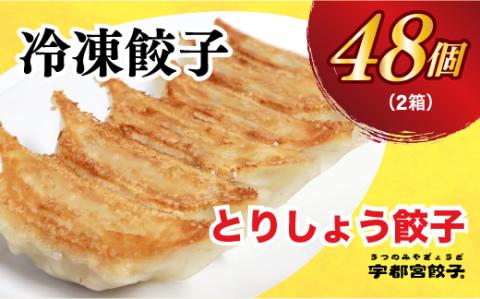 【とりしょう】餃子　24個入り×2箱【 ぎょうざ 冷凍餃子 冷凍食品 惣菜 栃木県 宇都宮市 】 ※着日指定不可 ※北海道・沖縄・離島への配送不可