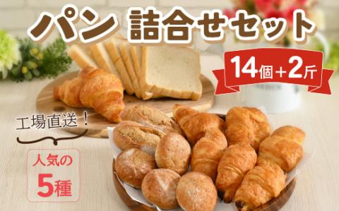 工場直送!!人気のパンおまかせセット ※着日指定不可