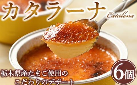 真面目にカタラーナ ※着日指定不可 ※北海道・沖縄・離島への配送不可