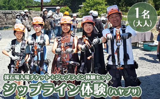 ジップライン ハヤブサ 大人1名 | 栃木県 宇都宮市 大谷石 カネホン採石場 チケット 観光 旅行 ツアー ※離島への配送不可