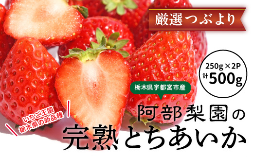 阿部梨園の完熟とちあいか（厳選つぶより） ※離島への配送不可 ※2025年12月上旬～2026年5月中旬頃に順次発送予定