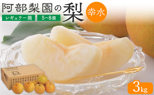 阿部梨園の梨（3kg　レギュラー箱）幸水　※離島への配送不可　※2025年8月中旬～8月下旬頃に順次発送予定