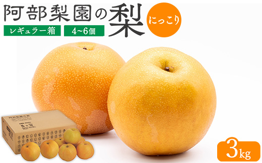 阿部梨園の梨（3kg　レギュラー箱）にっこり　※離島への配送不可　※2025年10月上旬～10月下旬頃に順次発送予定
