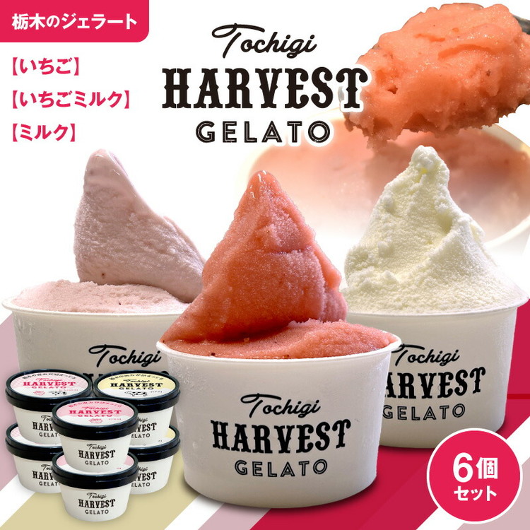 ジェラート「Harvest Gelato」 6個｜いちごジェラート ジェラート アイスクリーム アイスセット スイーツ デザート ミルク 夏ギフト 贈り物 お返し 誕生日 プレゼント ギフト お祝い 結婚 出産 内祝い