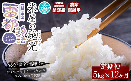 【12ヶ月定期便】栃木県産コシヒカリ 「米屋の越光」5kg×12ヶ月 ◇