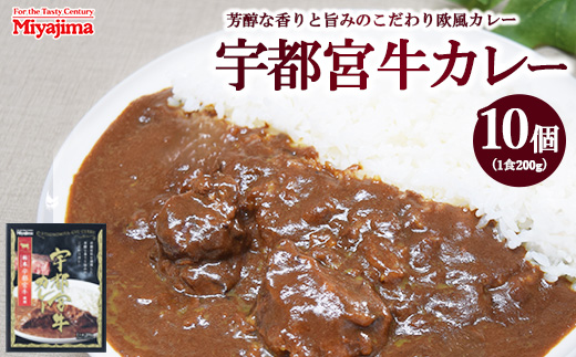宇都宮牛カレー 200g×10個セット