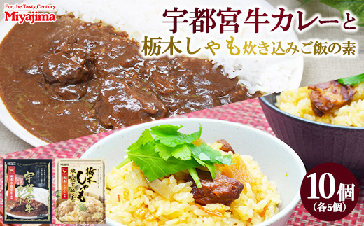 宇都宮牛カレー 200g×5個＋栃木しゃも炊き込みご飯の素 200g×5個セット