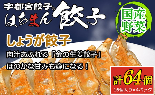 宇都宮餃子 はちまん餃子 しょうが餃子 64個 （16個入り×4パック/1個 22g） ｜ 宇都宮餃子 国産野菜 グルメ 宇都宮市 しょうが ぎょうざ ギョーザ 野菜 冷凍食品 冷凍餃子 焼き餃子 水餃子