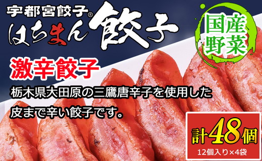 宇都宮餃子 はちまん餃子 激辛餃子 48個（12個入り×4袋/1個 22g） ｜ 宇都宮餃子 国産野菜 グルメ 宇都宮市 餃子 冷凍 ぎょうざ ギョーザ 野菜 冷凍食品 冷凍餃子 焼き餃子 水餃子