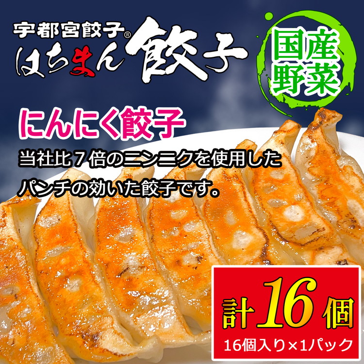 宇都宮餃子 はちまん餃子 にんにく餃子 16個（16個入り×1パック/1個 22g） ｜ 宇都宮餃子 国産野菜 グルメ 宇都宮市 にんにく ぎょうざ ギョーザ 野菜 冷凍食品 冷凍餃子 焼き餃子 水餃子