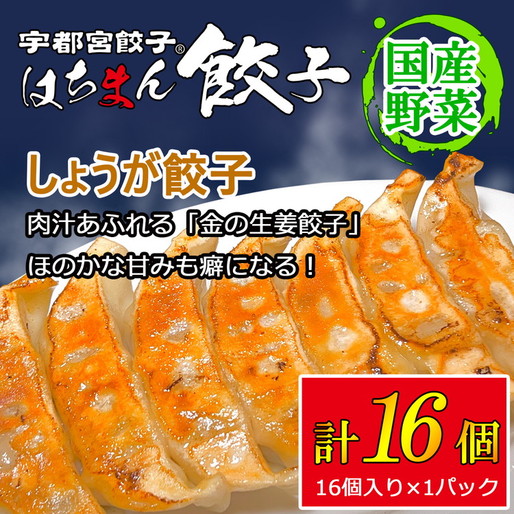 宇都宮餃子 はちまん餃子 しょうが餃子 16個 （16個入り×1パック/1個 22g） ｜ 宇都宮餃子 国産野菜 グルメ 宇都宮市 しょうが ぎょうざ ギョーザ 野菜 冷凍食品 冷凍餃子 焼き餃子 水餃子
