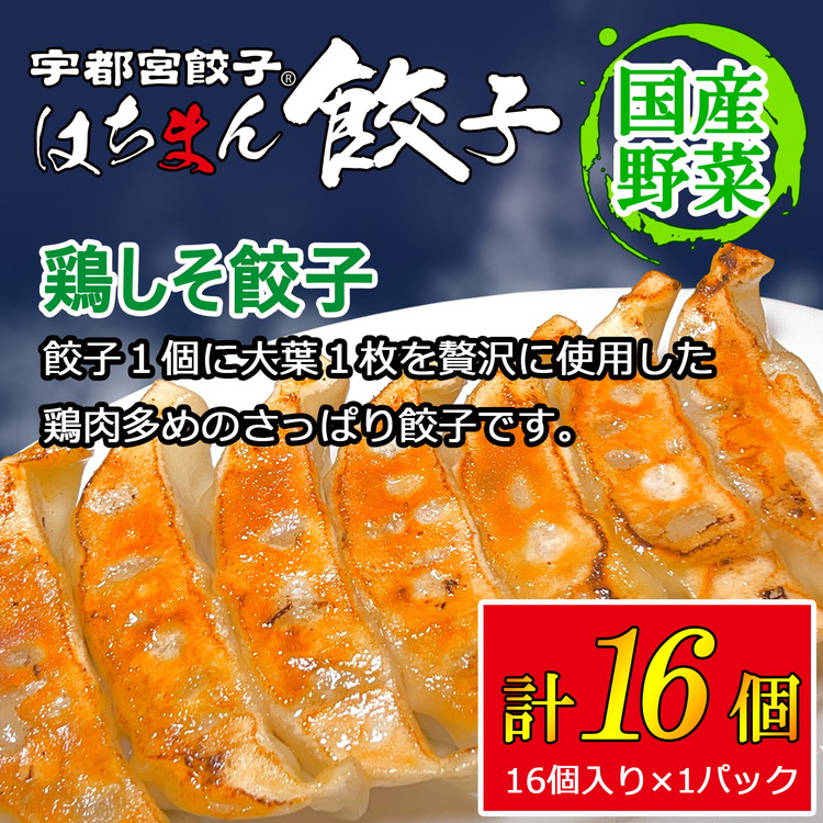 宇都宮餃子 はちまん餃子 鶏しそ餃子 16個 （16個入り×1パック/1個 22g） ｜ 宇都宮餃子 国産野菜 グルメ 宇都宮市 餃子 冷凍 ぎょうざ ギョーザ 野菜 冷凍食品 冷凍餃子 焼き餃子 水餃子