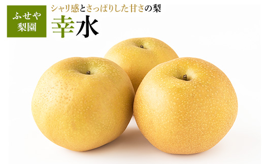 幸水 5kg 【ふせや梨園】| 農家直送 梨 ナシ 果物 フルーツ 宇都宮市 栃木県 ※2025年8月下旬頃より順次発送予定