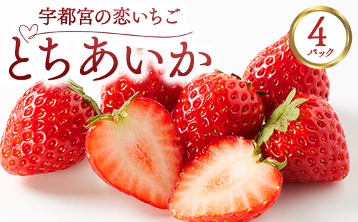 宇都宮の恋いちご「とちあいか」 4パック ―甘くて可愛い、愛されいちご― | 苺 イチゴ 果物 フルーツ 栃木県 宇都宮市 ※2025年12月中旬～2026年3月下旬頃に順次発送予定