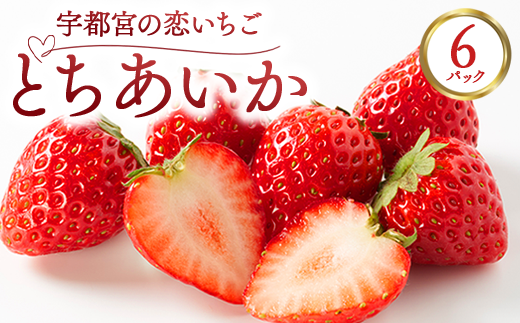 宇都宮の恋いちご「とちあいか」 6パック ―甘くて可愛い、愛されいちご― | 苺 イチゴ 果物 フルーツ 栃木県 宇都宮市 ※2025年12月中旬～2026年3月下旬頃に順次発送予定