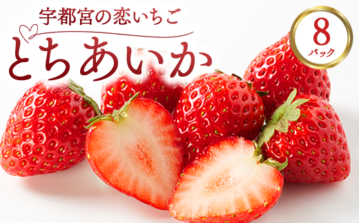 宇都宮の恋いちご「とちあいか」 8パック ―甘くて可愛い、愛されいちご― | 苺 イチゴ 果物 フルーツ 栃木県 宇都宮市 ※2025年12月中旬～2026年3月下旬頃に順次発送予定